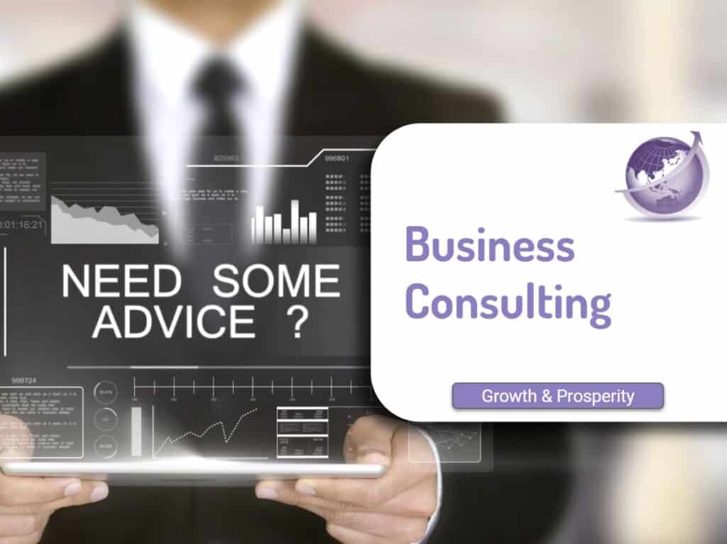 Business consulting for growth and prosperity