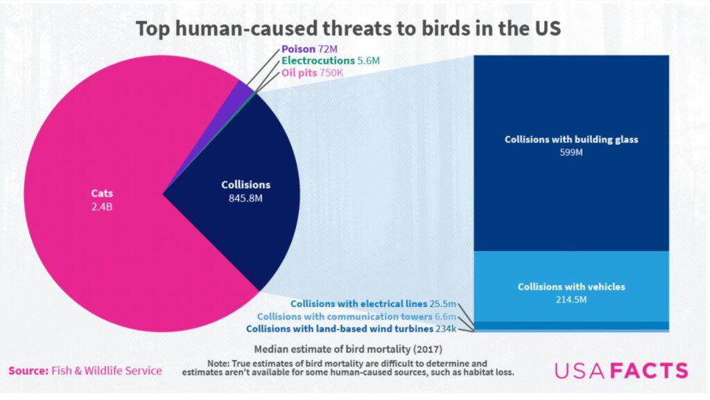 wind turbies kill bird - fact or fiction