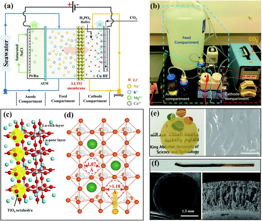 lithium from seaweed using continuous flow process.