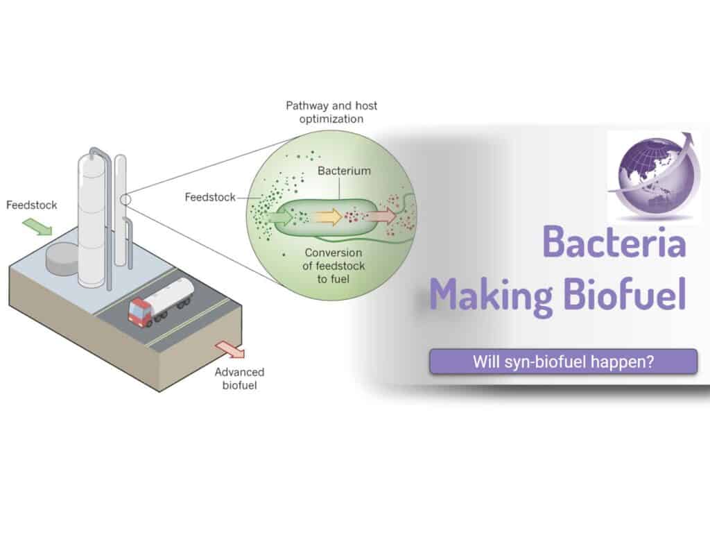 bacteria makes biofuel for jet fuel alternative