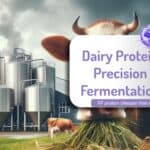 Precision fermentation protein cheaper than dairy milk