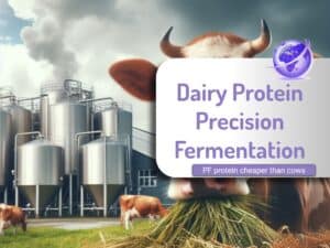 Precision fermentation protein cheaper than dairy milk