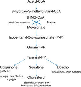 statins effectiveness in old people