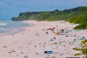 plastic waste on beaches