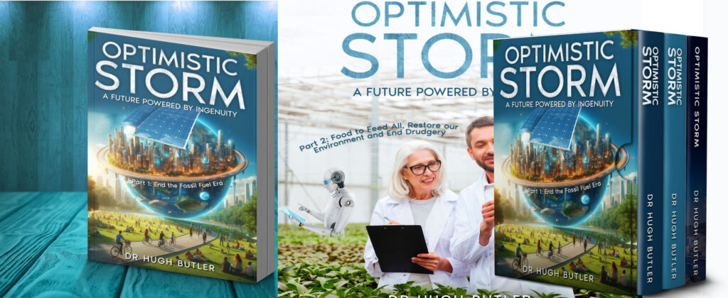 Purchase books Optimistic Storm